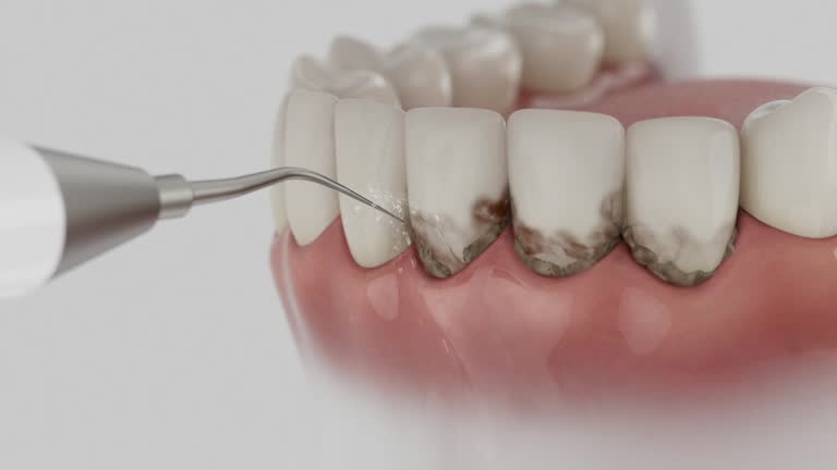 Reliable Dental contractor in Opelousas, LA by Dentist Open Now